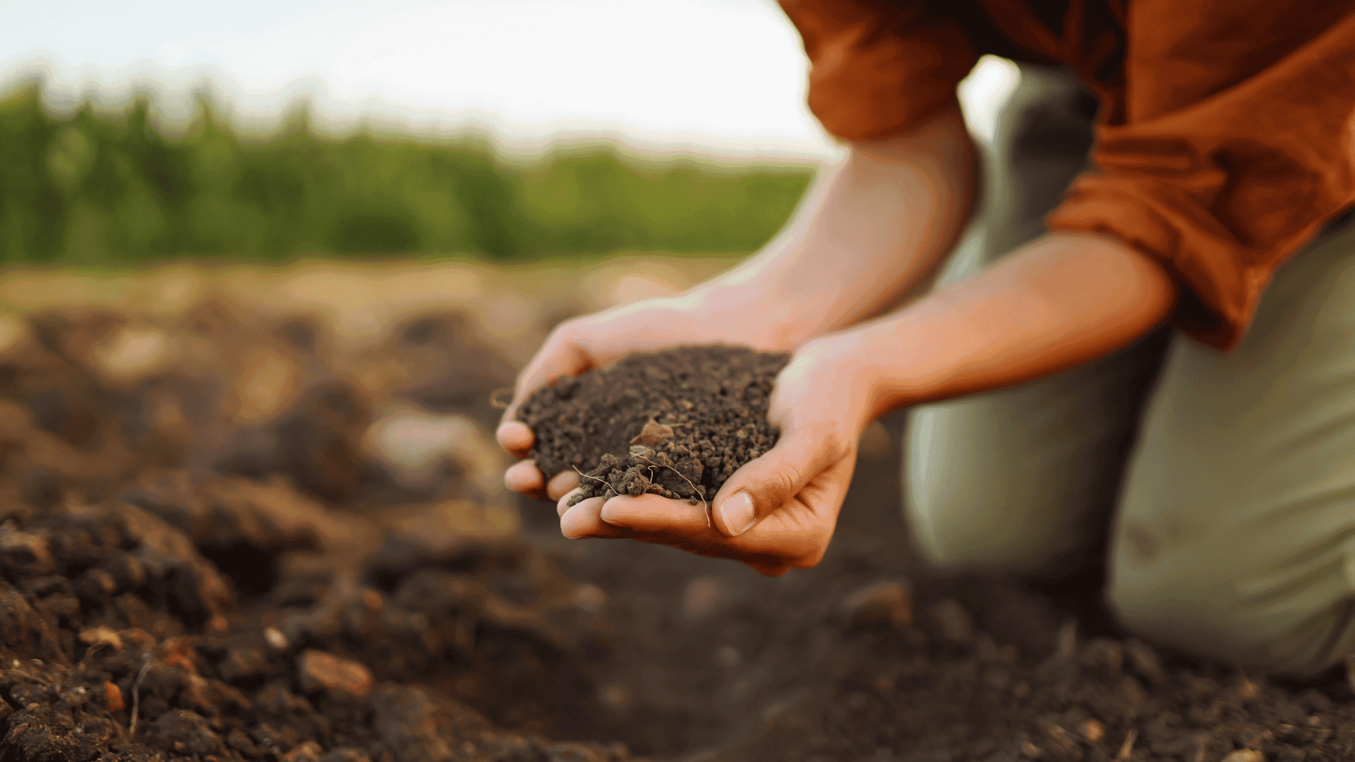 Regenerative Agriculture